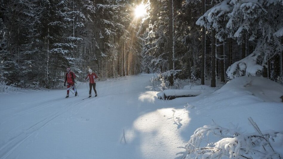 Langlauf Skating Flutlicht-Loipe Joglland-Loipe, St. Jakob im Walde - Touren-Impression #2.1 | © GH Orthofer,