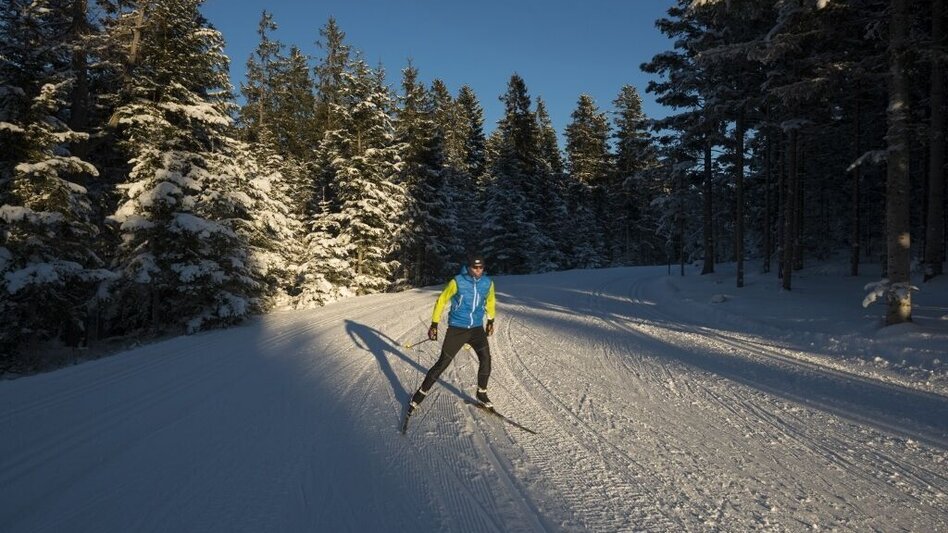 Langlauf Skating Sport-Loipe VII Joglland-Loipe, St. Jakob im Walde - Touren-Impression #2.1 | © GH Orthofer