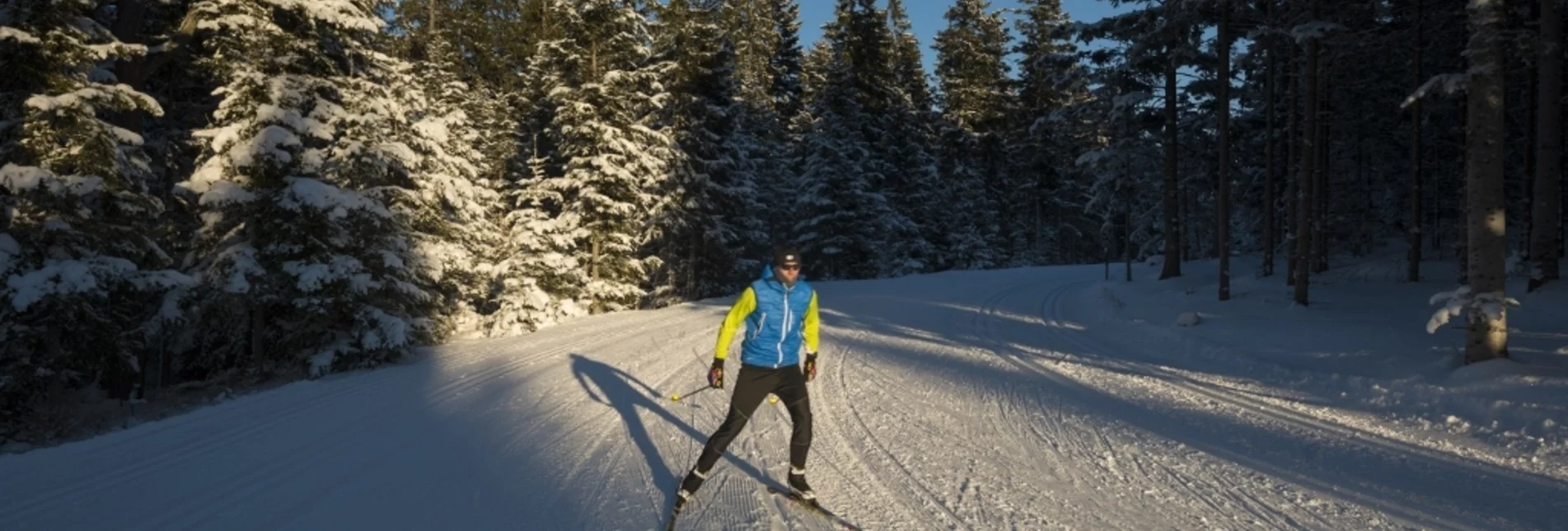 Ski-nordic-classic Sport trail VII Joglland trail - Touren-Impression #1 | © GH Orthofer