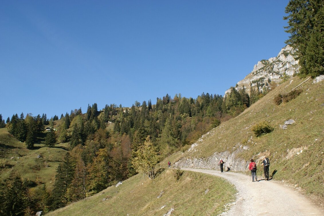 Bergtour Grabneralm und Grabnerstein - Touren-Impression #1 | © TV Gesäuse
