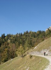 Über die Forststraße auf die Grabneralm | © TV Gesäuse | Tourismusverband Gesäuse | © TV Gesäuse