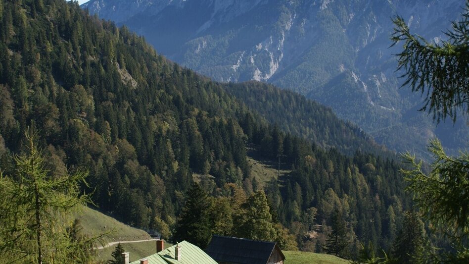 Bergtour Grabneralm und Grabnerstein - Touren-Impression #2.5 | © TV Gesäuse