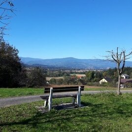 Panoramablick am Eckriegel | © TVB Südsteiermark/Anton Albrecher