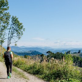 Weg vom Plesch Richtung Mühlbacher Hütte (c) TV OberGraz-Mias PhotoArt | © Region Graz