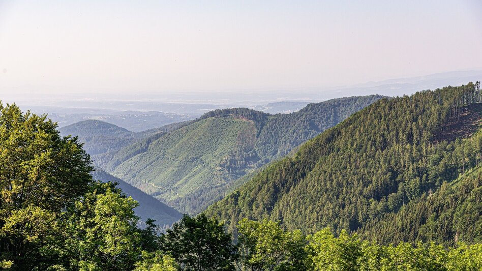 Wanderung Entlang der Vier-Tausender - Touren-Impression #2.12 | © Region Graz