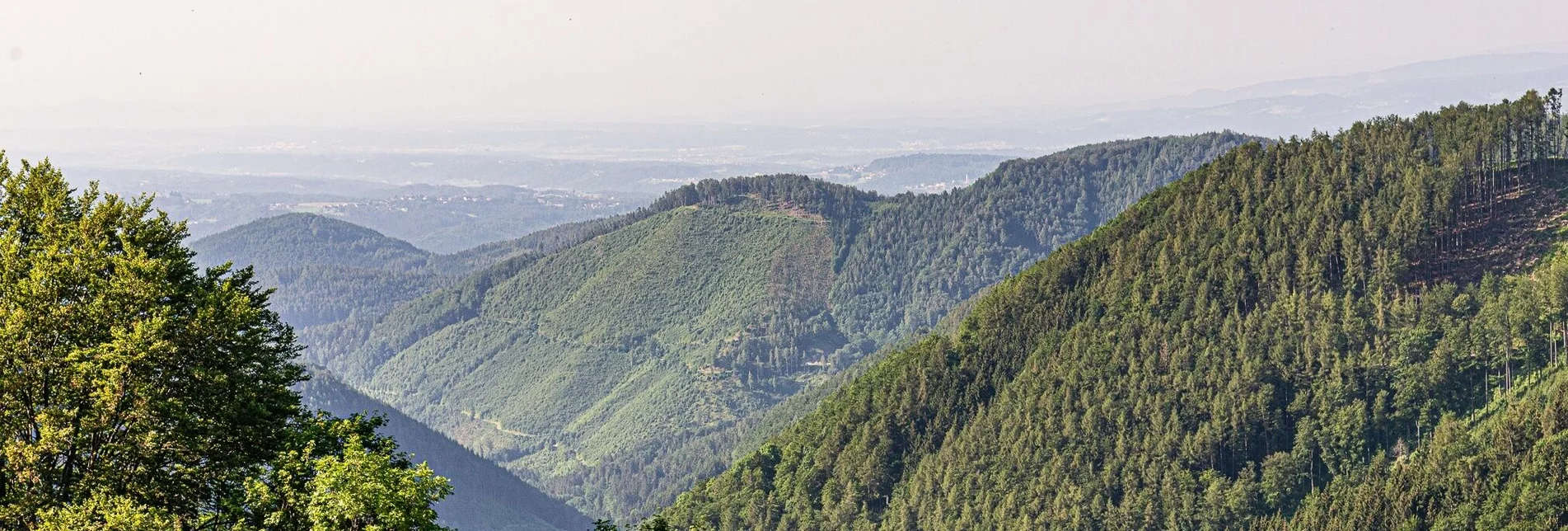 Hiking route Mountain hike across “four thousanders” - Touren-Impression #1 | © Region Graz