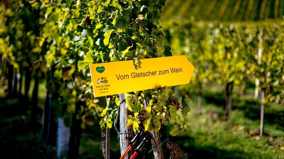 Hiking Route Vom Gletscher zum Wein (Teilstück) - Touren-Impression #2.1 | © Steiermark Tourismus