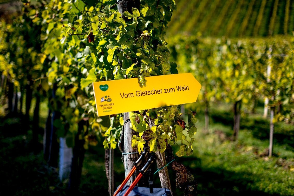 Hiking Route Vom Gletscher zum Wein (Teilstück) - Touren-Impression #1 | © Steiermark Tourismus