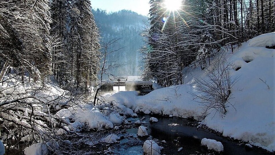 Winterwandern Winterwanderung von Gössl zum Toplitzsee - Touren-Impression #2.3 | © Fischerhütte Toplitzsee/A. Syen