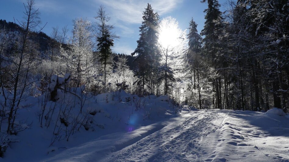 Winterwandern Winterwanderung von Gössl zum Toplitzsee - Touren-Impression #2.4 | © Fischerhütte Toplitzsee/A. Syen