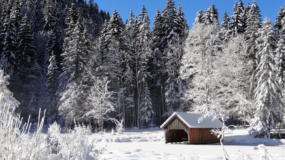 Winterwandern Winterwanderung von Gössl zum Toplitzsee - Touren-Impression #2.5 | © Fischerhütte Toplitzsee/A. Syen