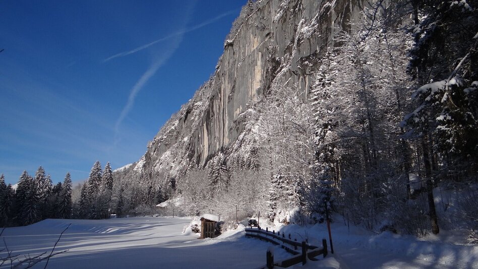 Winterwandern Winterwanderung von Gössl zum Toplitzsee - Touren-Impression #2.9 | © Fischerhütte Toplitzsee/A. Syen