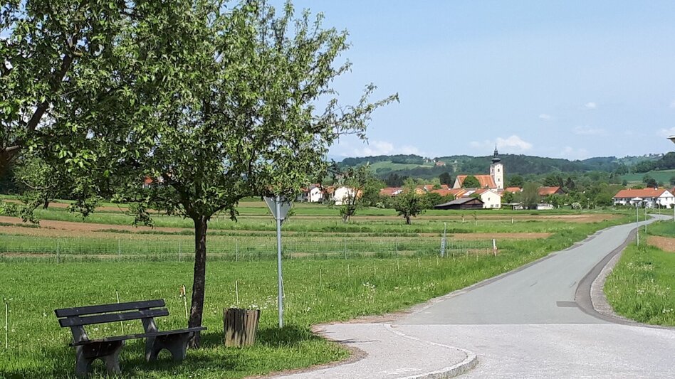 Hiking Route Apple trail (Apfelwanderweg) - Touren-Impression #2.5 | © Thermen- & Vulkanland