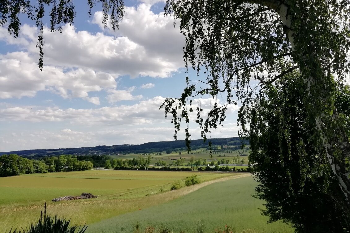 Wanderung W7 Herrschaftswaldweg - Bad Waltersdorf - Touren-Impression #1 | © Thermen- & Vulkanland
