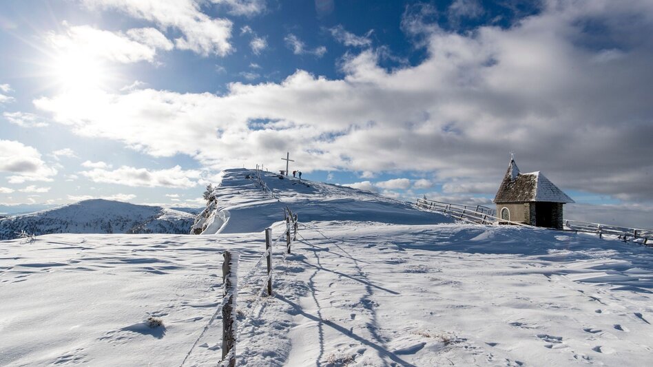Schneeschuhwandern Frauenalpe - über die Troghütte zum Gipfel & zurück über Oberberg - Touren-Impression #2.2 | © Tourismusverband Murau