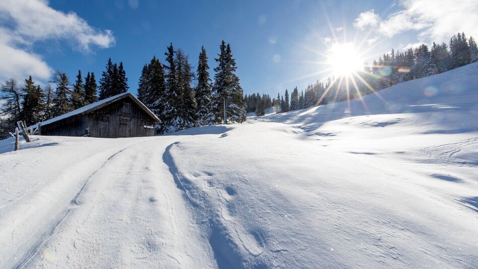 Schneeschuhwandern Frauenalpe - über die Troghütte zum Gipfel & zurück über Oberberg - Touren-Impression #2.3 | © Tourismusverband Murau