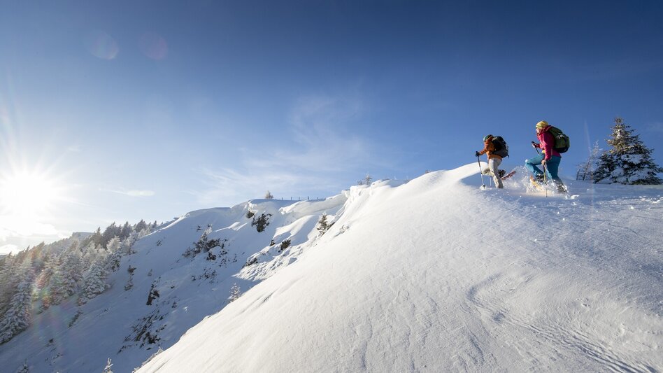 Schneeschuhwandern Frauenalpe - über die Troghütte zum Gipfel & zurück über Oberberg - Touren-Impression #2.1 | © TVB Murau
