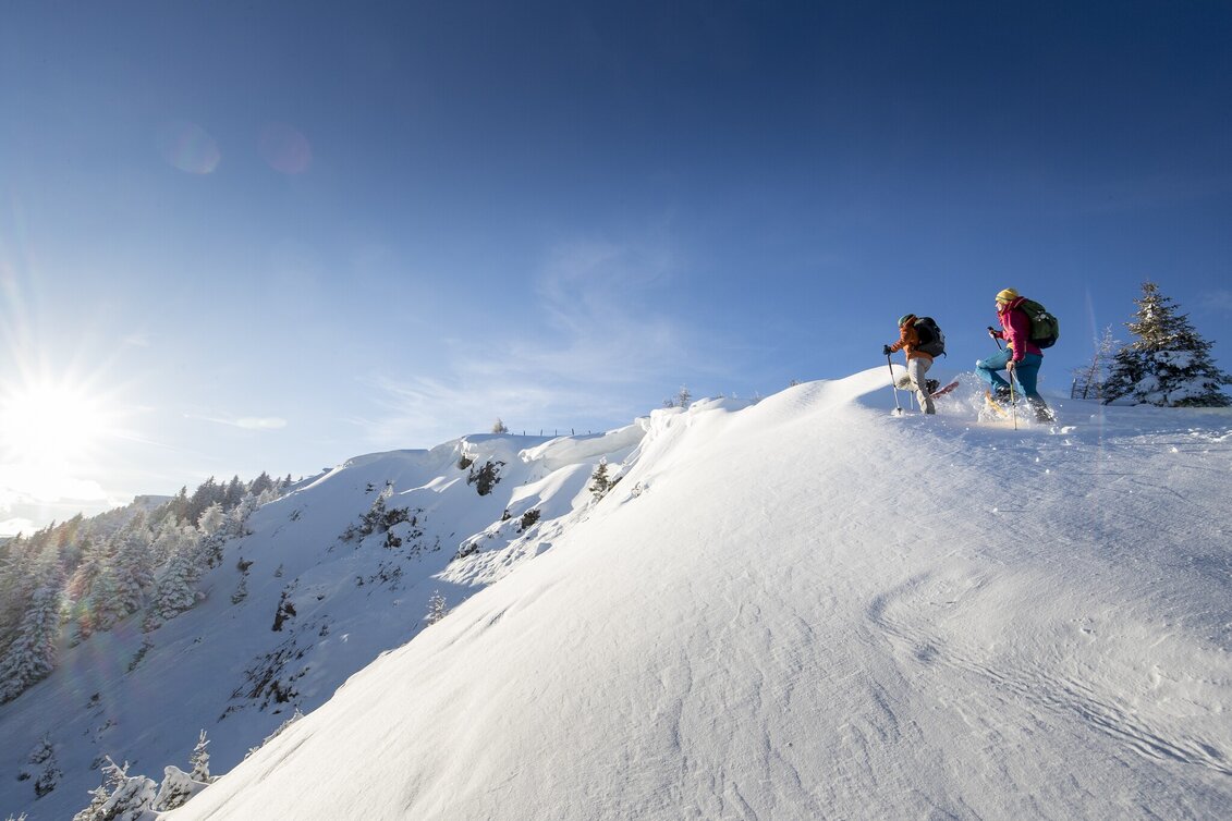 Schneeschuhwandern Frauenalpe - über die Troghütte zum Gipfel & zurück über Oberberg - Touren-Impression #1 | © TVB Murau