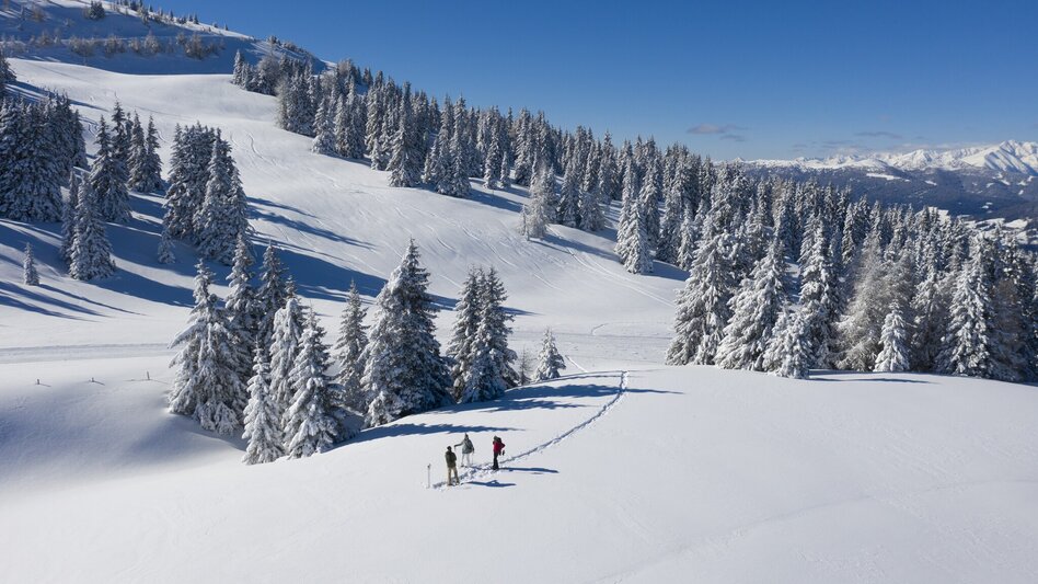 Schneeschuhwandern Frauenalpe - über die Troghütte zum Gipfel & zurück über Oberberg - Touren-Impression #2.4 | © Steiermark Tourismus