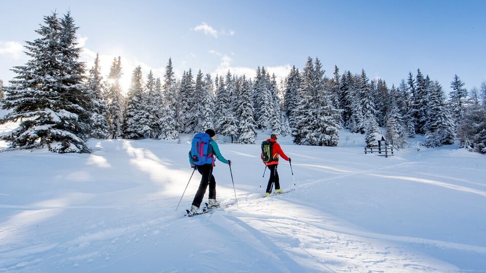 Skitour Von Murau auf die Frauenalpe - Touren-Impression #2.1 | © Tourismusverband Murau