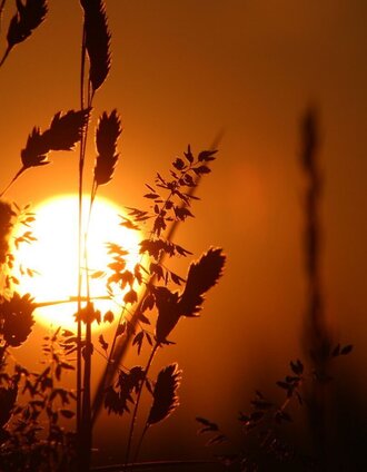 Sonnenuntergang in der 2-Thermenregion | Infobüro Bad Waltersdorf | © Thermen- & Vulkanland
