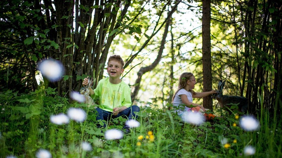 Themed Nature Trail Frauenhainweg Educational Animal Trail Murau - Touren-Impression #2.5 | © Tourismusverband Murau