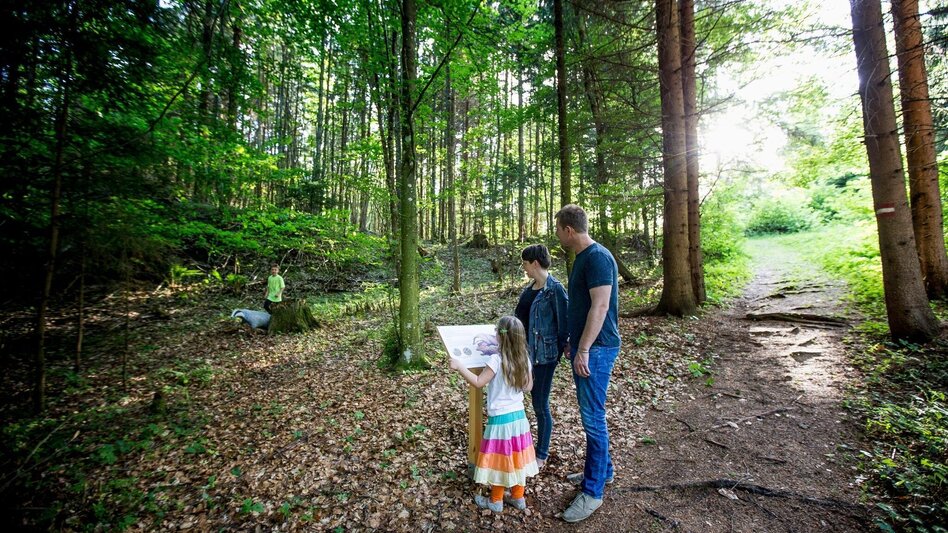 Themed Nature Trail Frauenhainweg Educational Animal Trail Murau - Touren-Impression #2.3 | © Tourismusverband Murau