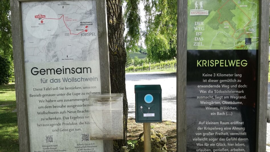 Wanderung Kulinarikweg - Touren-Impression #2.6 | © Thermen- & Vulkanland