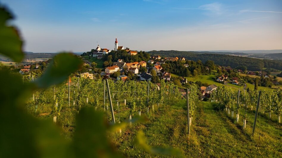 Wanderung Lebenskraftweg - Touren-Impression #2.1 | © Thermen- & Vulkanland