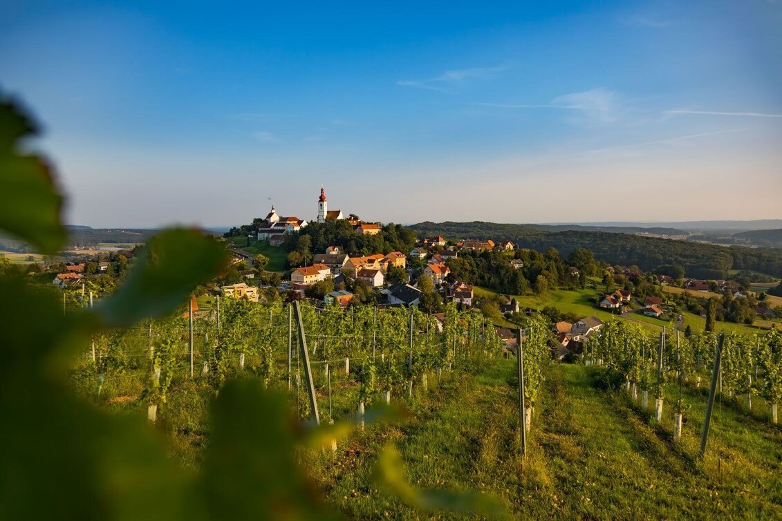 Wanderung Lebenskraftweg - Touren-Impression #1 | © Thermen- & Vulkanland