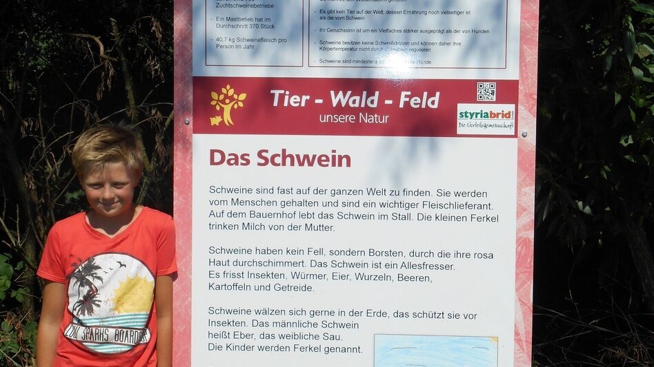 Family Hiking Trail Animal-forest-field - agricultural theme trail (Tier-Wald-Feld - Landwirtschaftlicher Themenweg) - Touren-Impression #2.4 | © Thermen- & Vulkanland