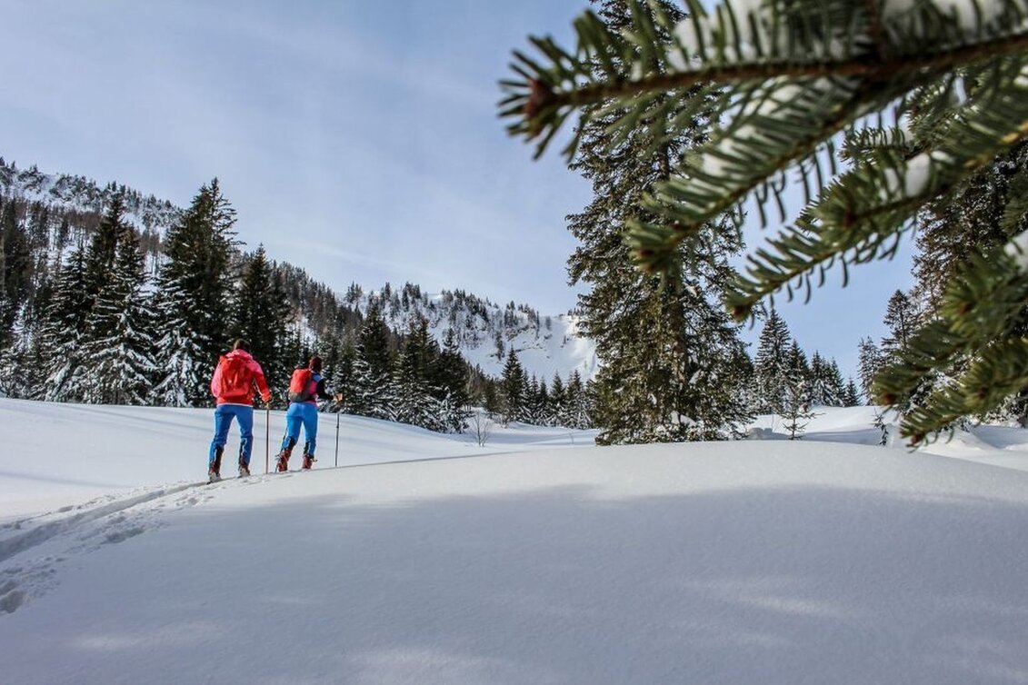 Skitour Skitour von Bad Mitterndorf/Zauchen auf die Tauplitzalm - Touren-Impression #1 | © Tourismusverband Ausseerland Salzkammergut