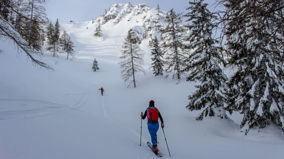 Skitour Skitour von Bad Mitterndorf/Zauchen auf die Tauplitzalm - Touren-Impression #2.2 | © Tourismusverband Ausseerland Salzkammergut