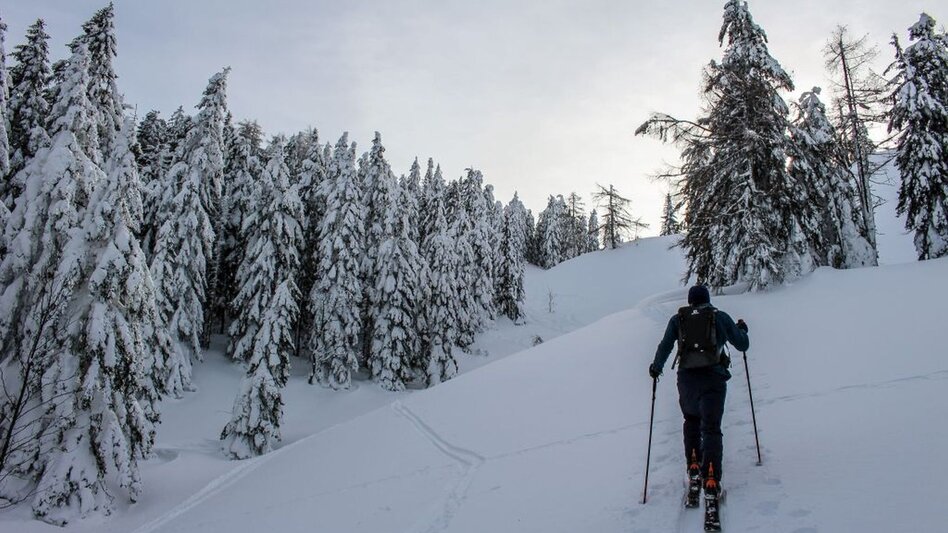Skitour Skitour von Bad Mitterndorf/Zauchen auf die Tauplitzalm - Touren-Impression #2.3 | © Tourismusverband Ausseerland Salzkammergut