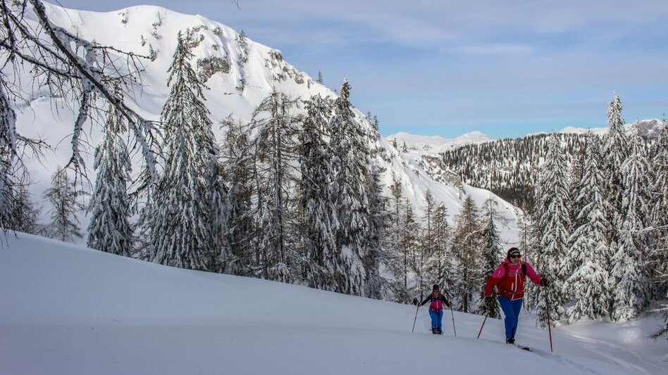 Skitour Skitour von Bad Mitterndorf/Zauchen auf die Tauplitzalm - Touren-Impression #2.4 | © Tourismusverband Ausseerland Salzkammergut