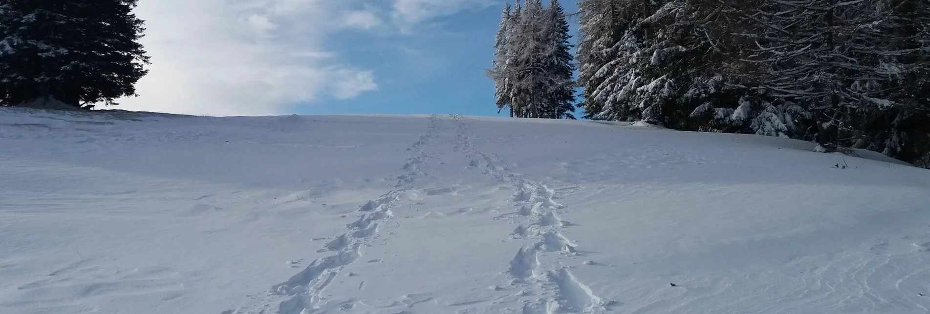 Snowshoe walking Schneeschuh-Runde am Brandkogel - Touren-Impression #1 | © Region Graz