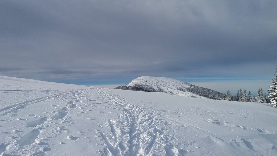 Schneeschuhwandern Schnee(lle) Stubalm-Runde - Touren-Impression #2.4 | © Region Graz