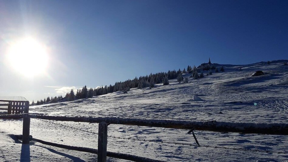 Schneeschuhwandern Schnee(lle) Stubalm-Runde - Touren-Impression #2.5 | © Zirbenland-Marketing