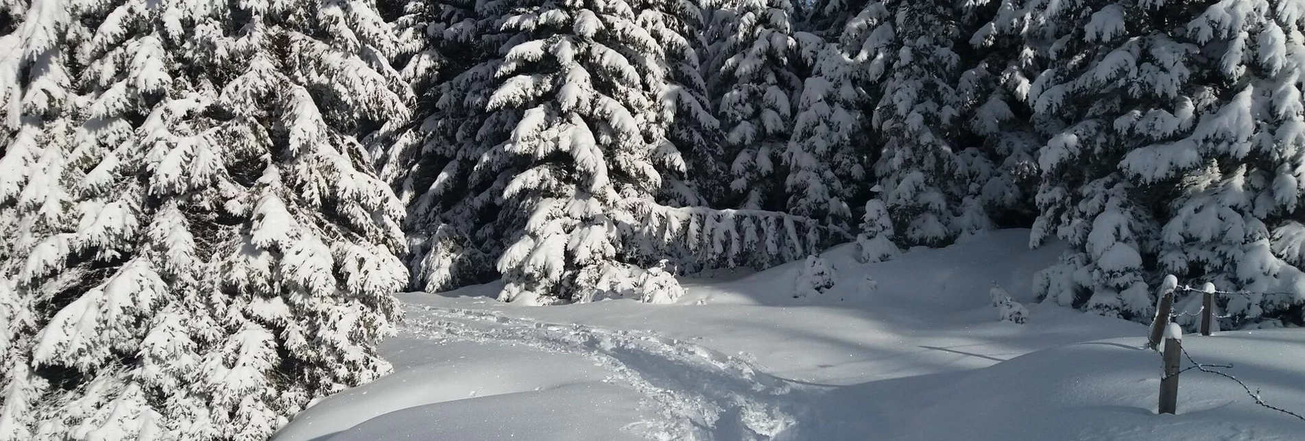 Schneeschuh Schnee(lle) Stubalm-Runde - Touren-Impression #1 | © Region Graz