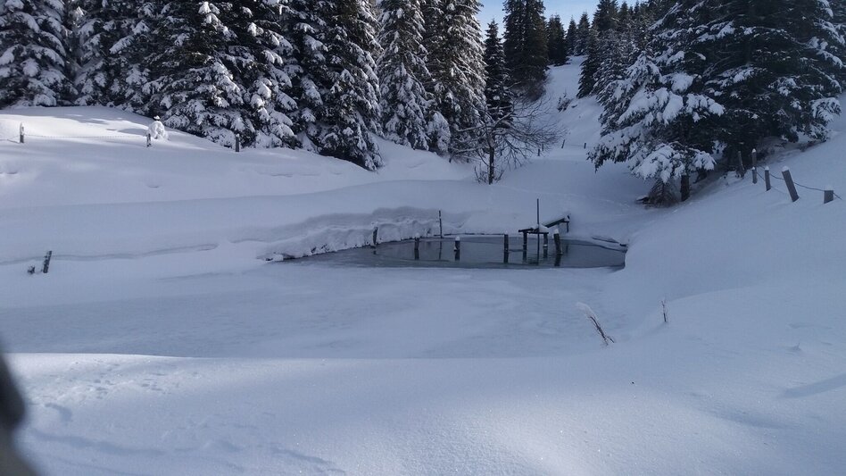 Schneeschuhwandern Schnee(lle) Stubalm-Runde - Touren-Impression #2.7 | © Region Graz