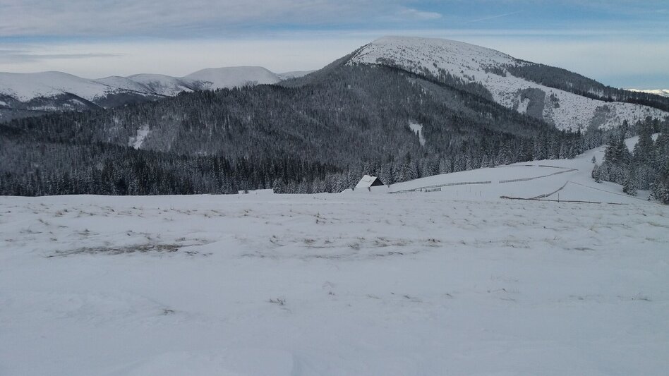 Schneeschuhwandern Schnee(lle) Stubalm-Runde - Touren-Impression #2.8 | © Region Graz