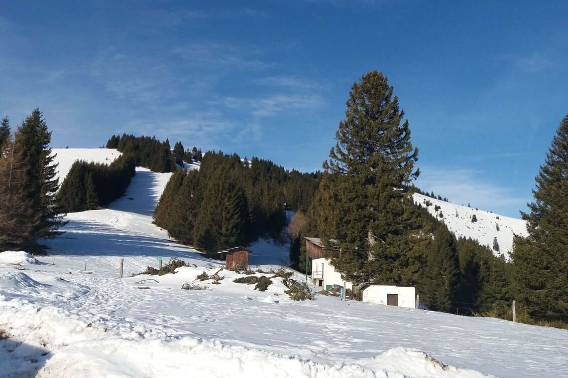 Snowshoe Walking Unberührte Gaberl-Runde - Touren-Impression #1 | © Region Graz