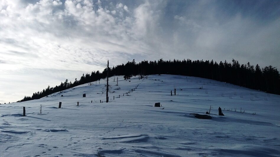 Snowshoe Walking Unberührte Gaberl-Runde - Touren-Impression #2.5 | © Region Graz