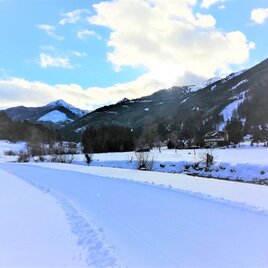 Entlang des Baches auf der Loipe Vorderwald | © Erlebnisregion Schladming-Dachstein
