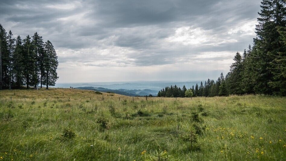Wanderung Glashütten Rundweg  - Touren-Impression #2.2 | © TV Südsteiermark/Silvan