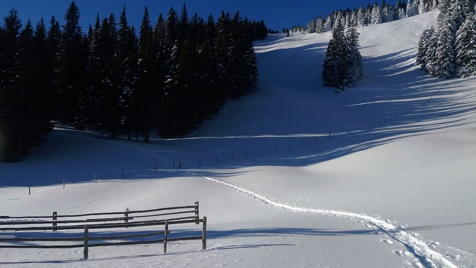 Schneeschuhwandern Krugmoar-Runde - Touren-Impression #2.2 | © Region Graz