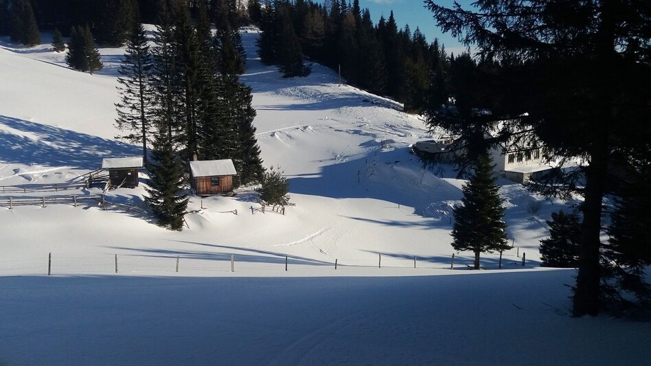 Schneeschuhwandern Krugmoar-Runde - Touren-Impression #2.3 | © Region Graz