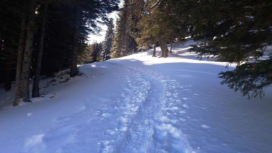 Schneeschuhwandern Krugmoar-Runde - Touren-Impression #2.4 | © Region Graz
