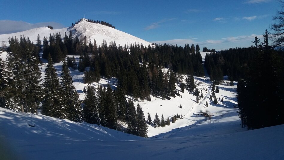Schneeschuhwandern Krugmoar-Runde - Touren-Impression #2.6 | © Region Graz