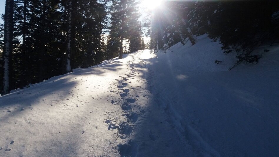 Schneeschuhwandern Krugmoar-Runde - Touren-Impression #2.7 | © Region Graz